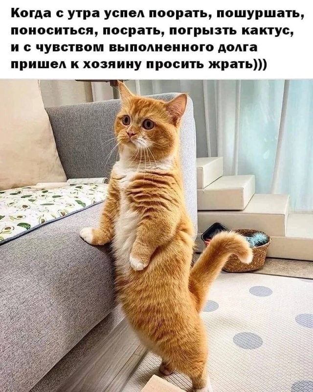 Доброе утро
