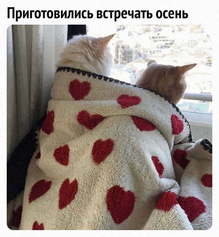 Как вы вкусно написали !