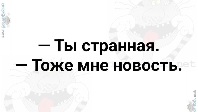 Солянка от 10.09.2024
