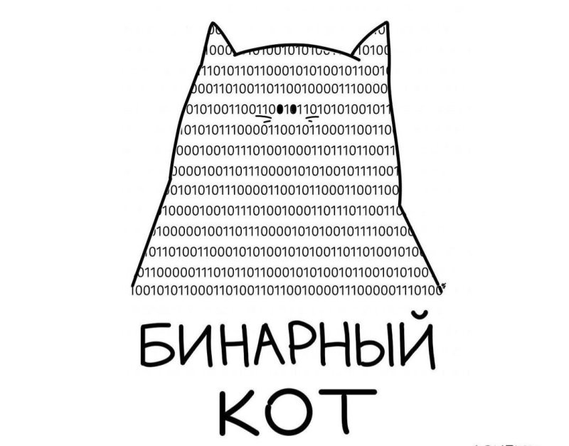 Солянка от 12.09.2024