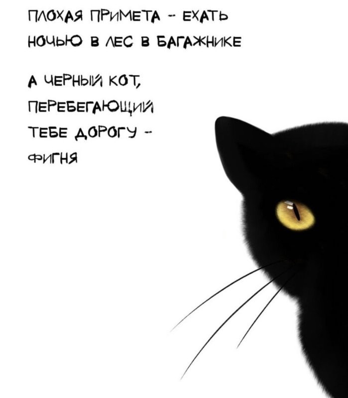 Не верим в приметы ! )