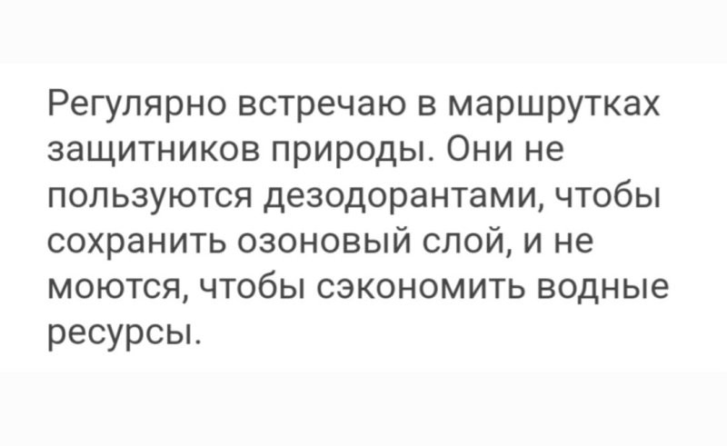 Солянка от 16.09.2024