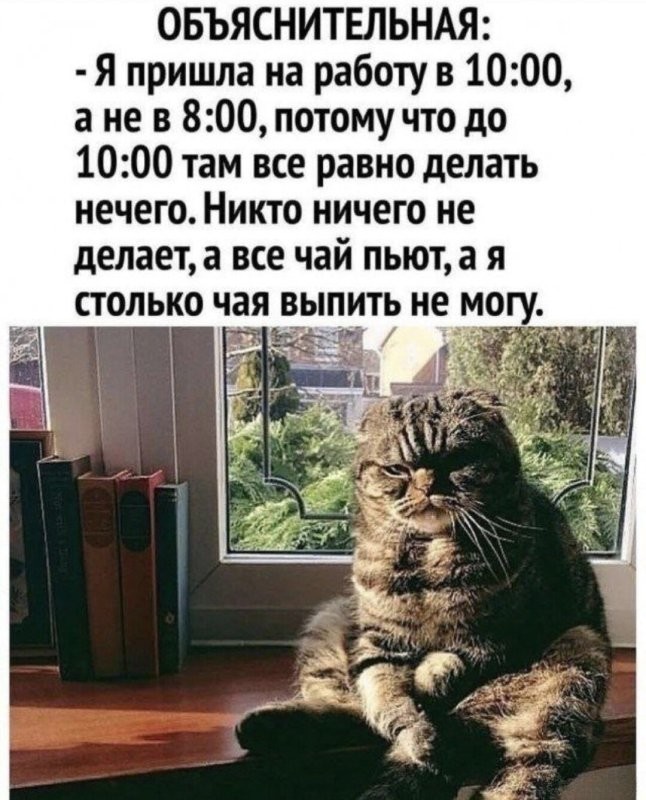Удачной недели )