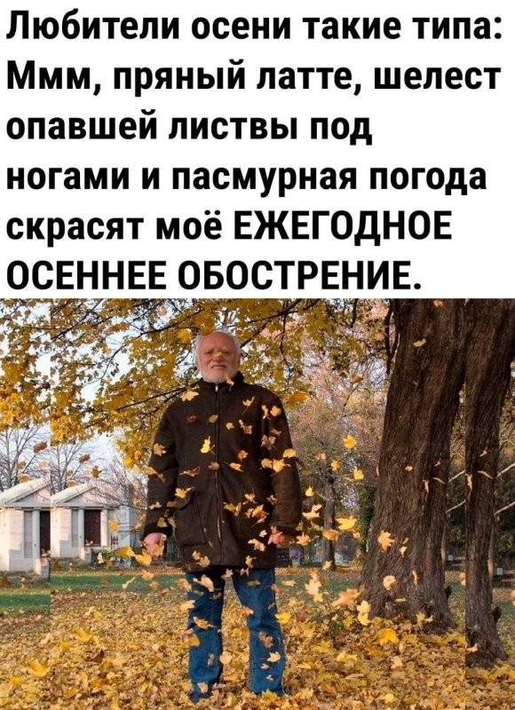 Солянка от 23.09.2024