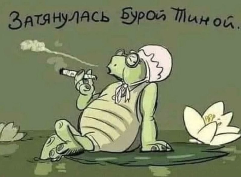 Солянка от 23.09.2024
