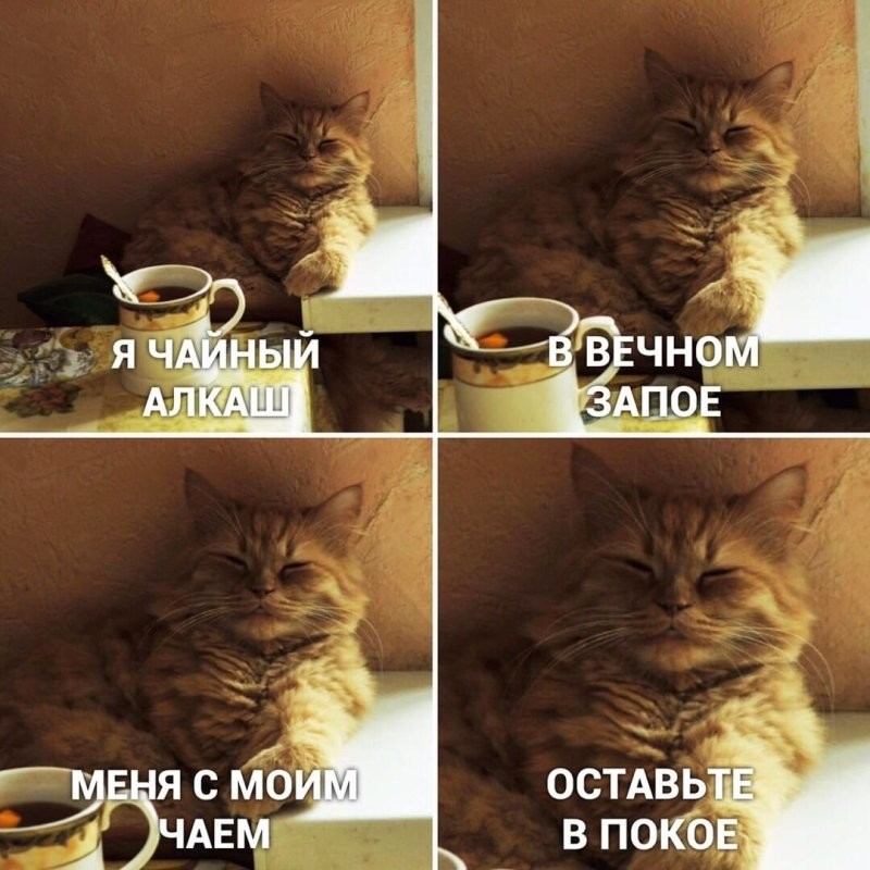 Доброе утро