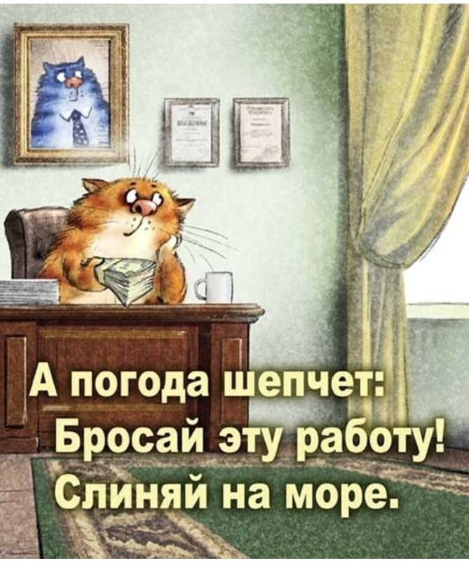 Солянка от 26.09.2024