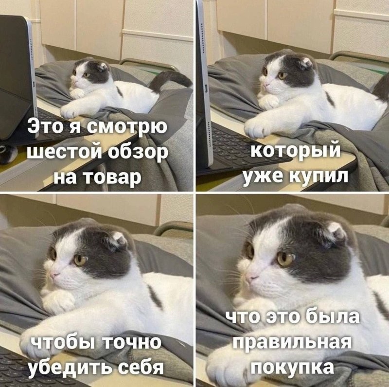 Солянка от 29.09.2024