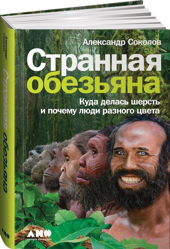 Солянка от 03.10.2024