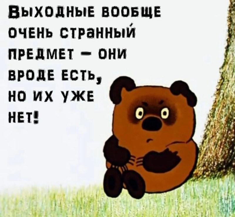 Солянка от 14.10.2024