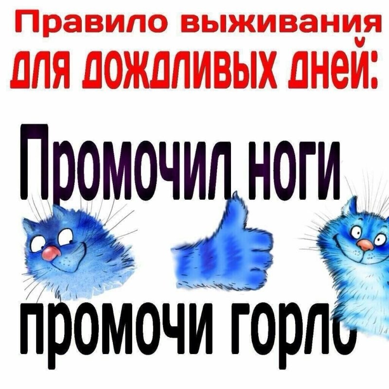 Солянка от 15.10.2024