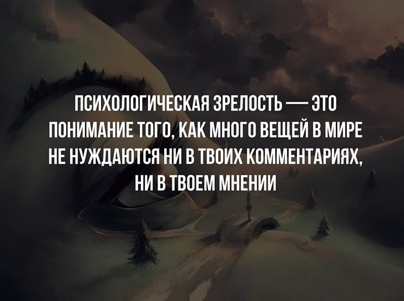 Солянка от 15.10.2024
