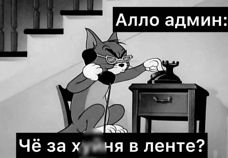 Солянка от 16.10.2024