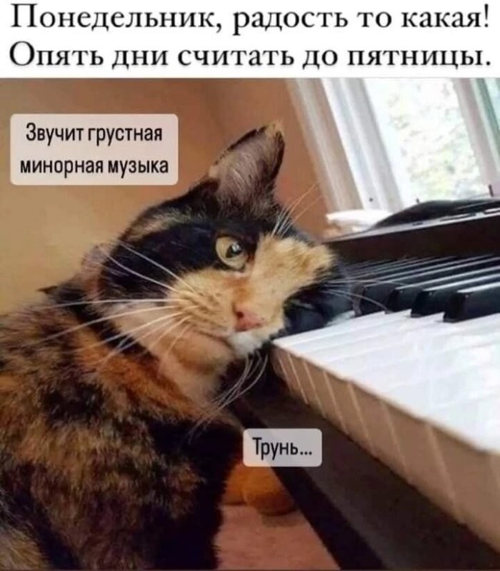 Доброго утра
