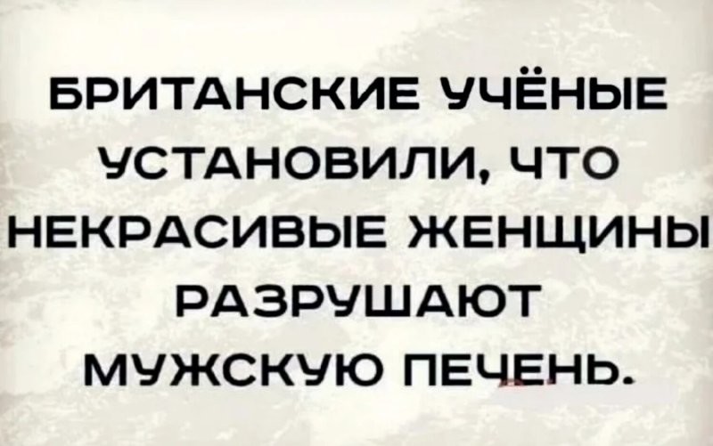 Солянка от 22.10.2024