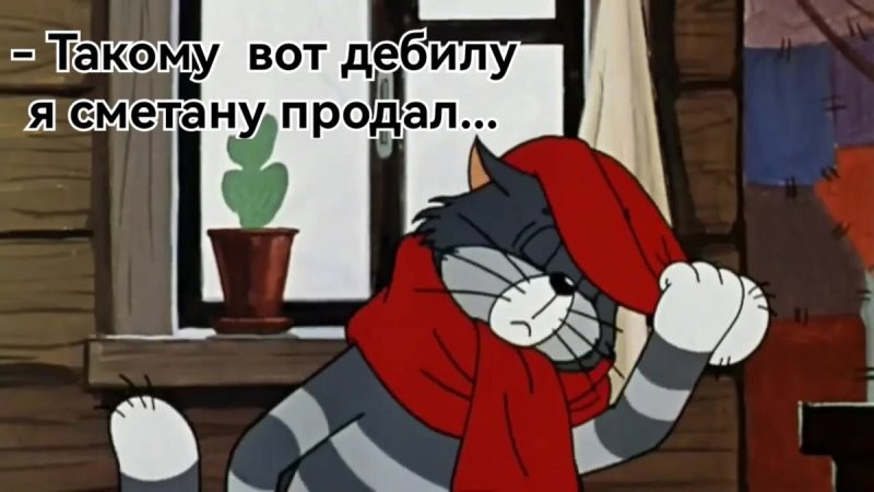 Серёжу даже жалко стало