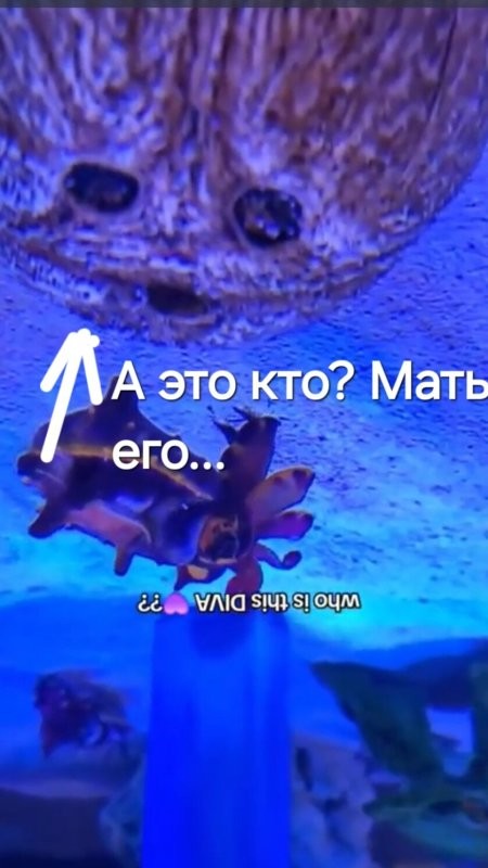 Солянка от 02.11.2024