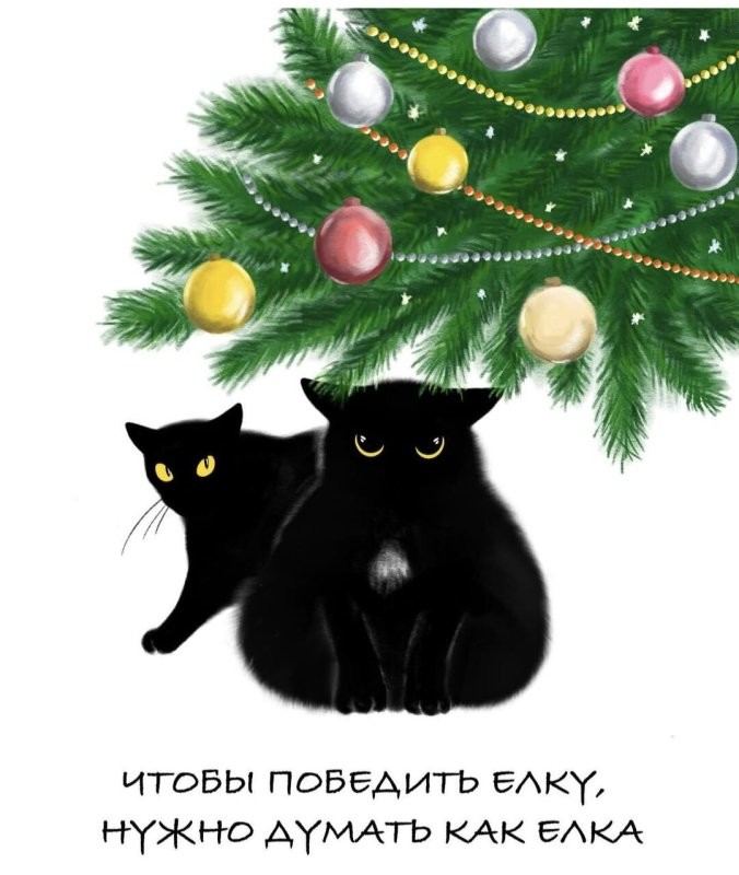 Доброе утро