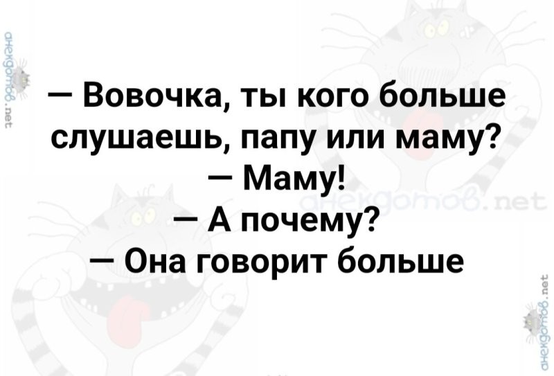 Солянка от 29.12.2024