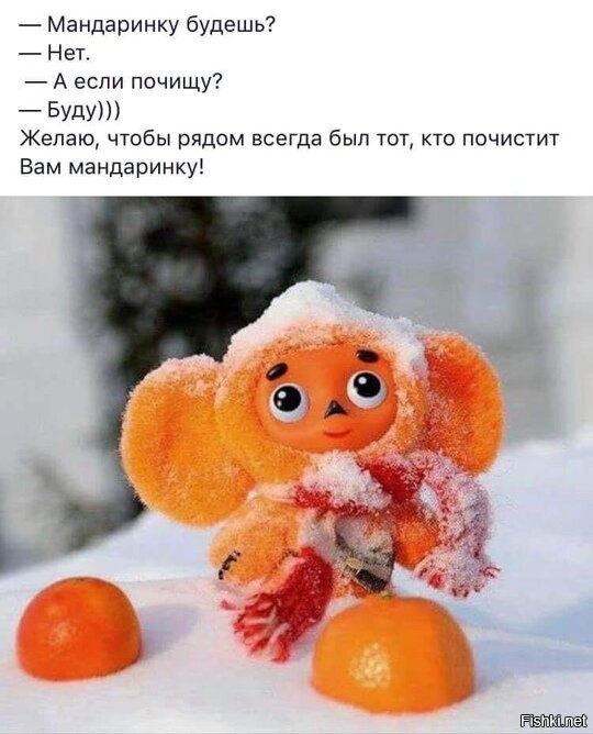 Солянка от 01.01.2025