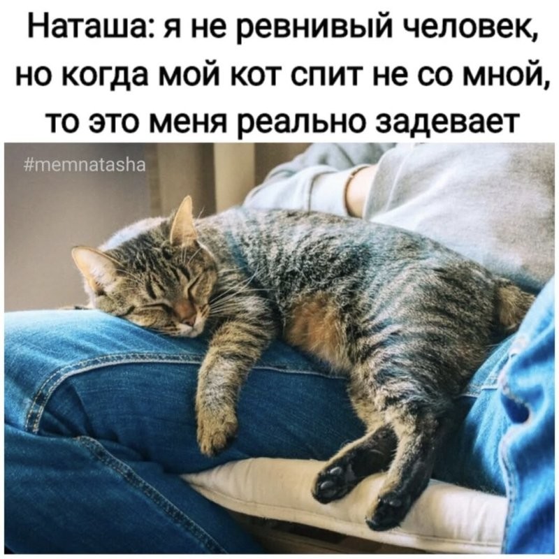 Солянка от 03.01.2025