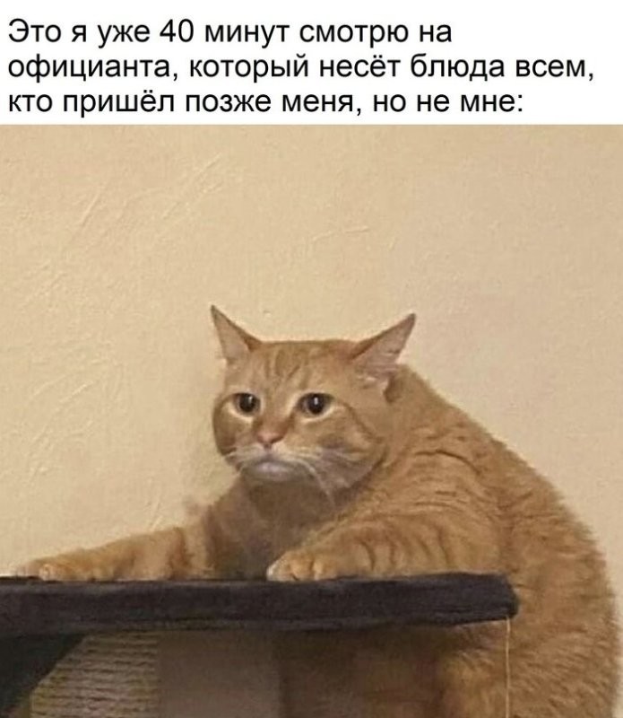 Солянка от 07.01.2025