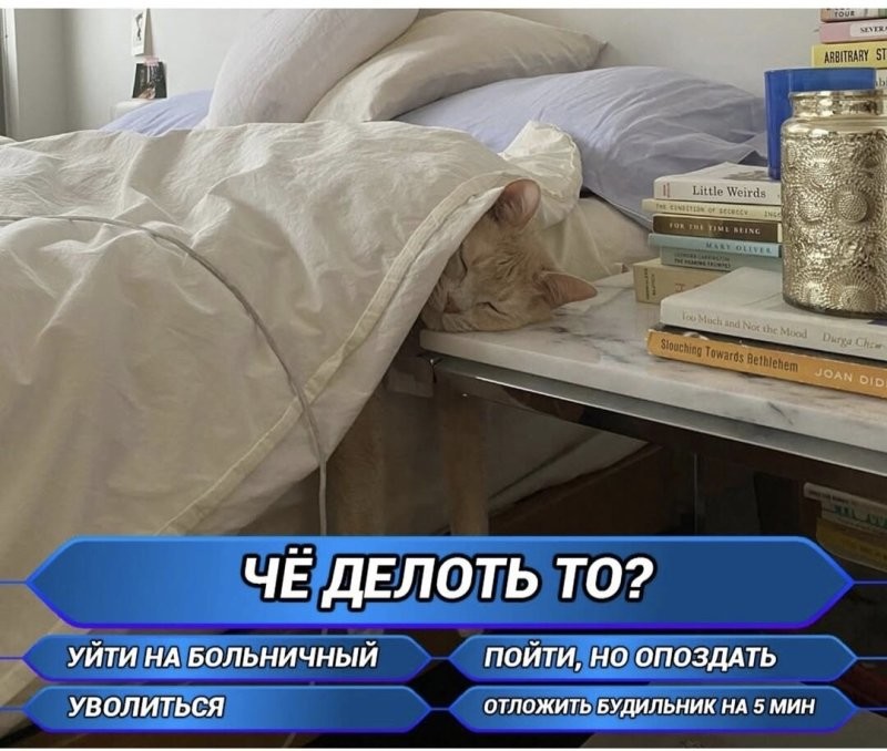 Доброе утро