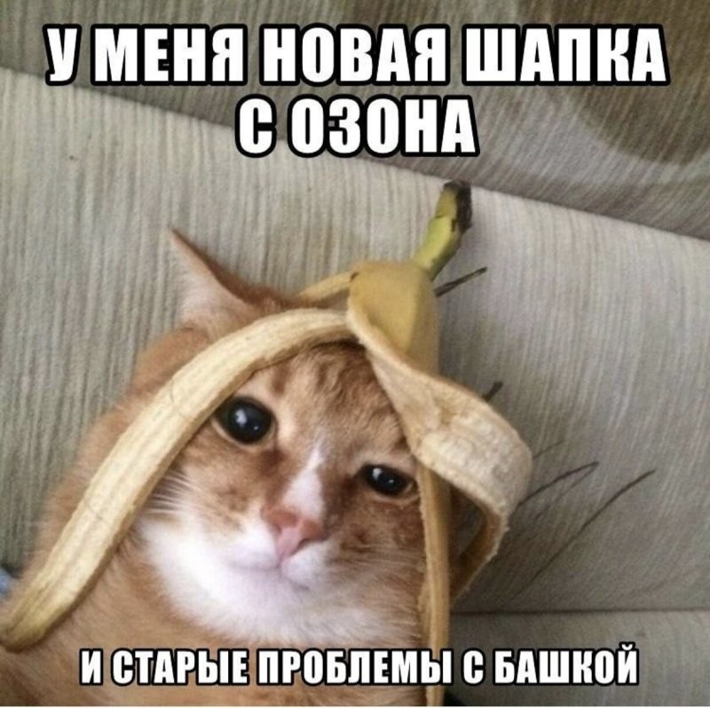 Солянка от 15.01.2025