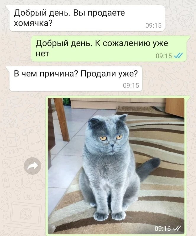Солянка от 26.01.2025