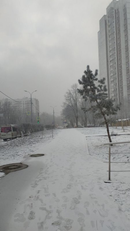 Солянка от 09.02.2025