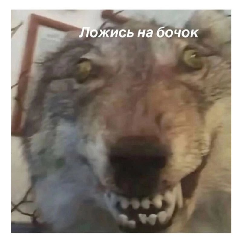 Солянка от 14.02.2025