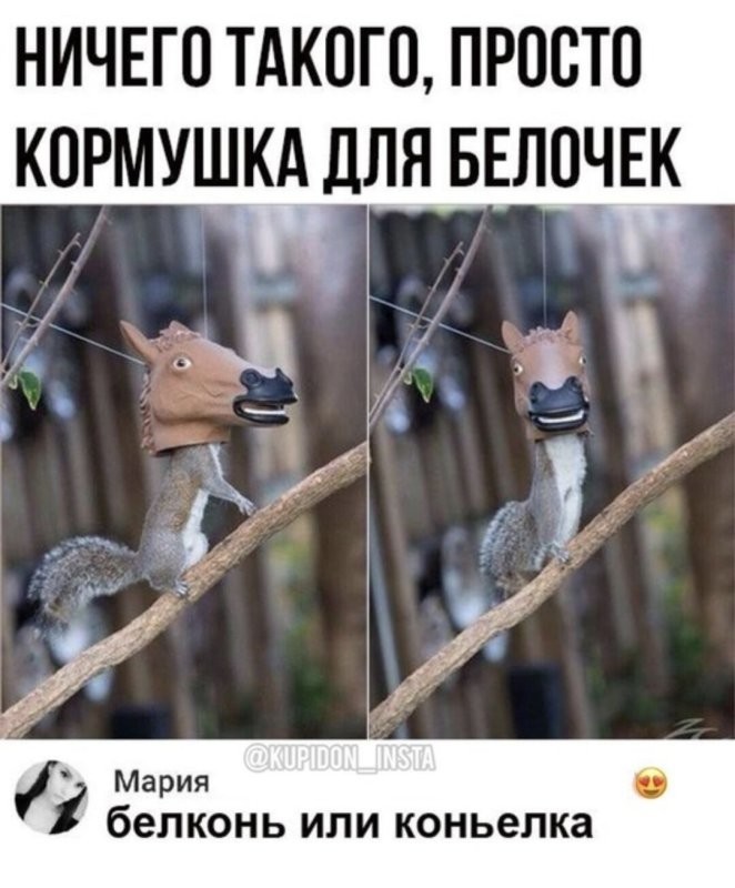 Доброе утро