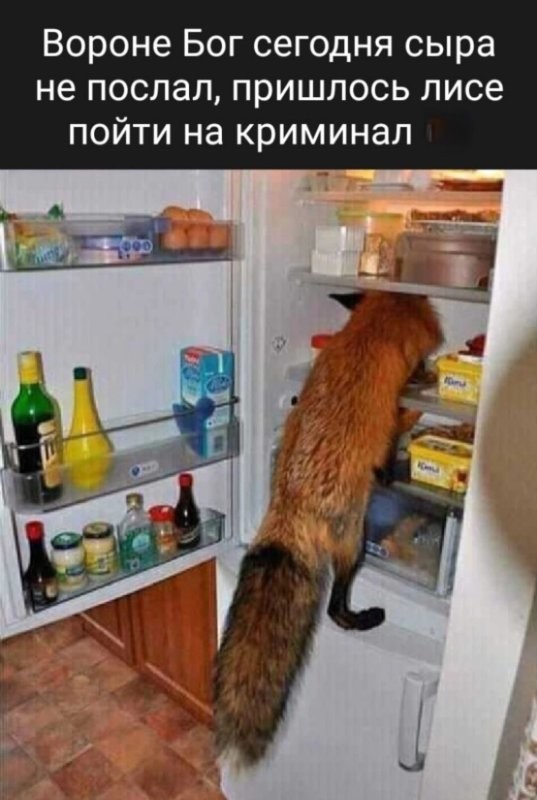 Солянка от 19.02.2025
