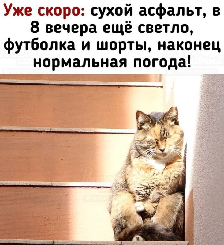 Доброе утро