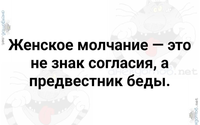 Солянка от 30.03.2025