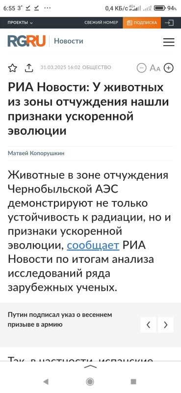 Солянка от 31.03.2025