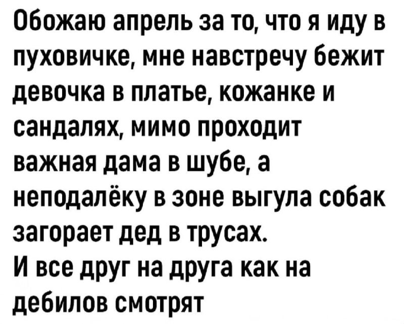 Солянка от 02.04.2025