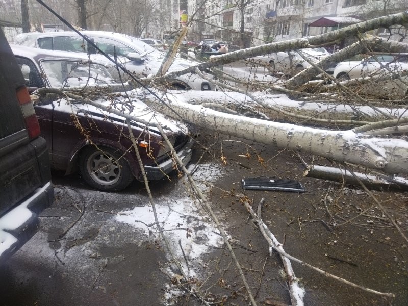 А я сегодня вышел с собакой погулять и нас во дворе вот так.