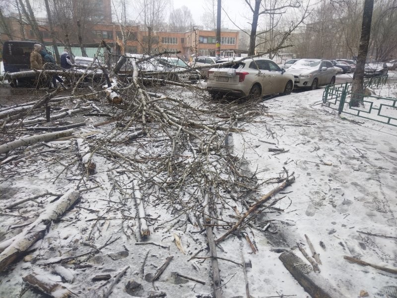 А я сегодня вышел с собакой погулять и нас во дворе вот так.