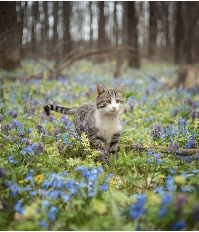 Солянка от 07.04.2025