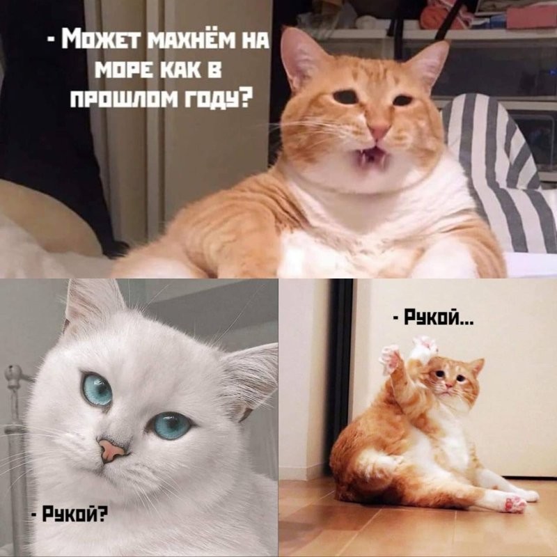 Солянка от 12.04.2025