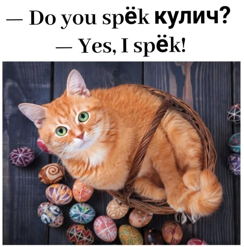 Доброе утро