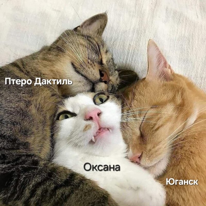 Спокойной ночи...