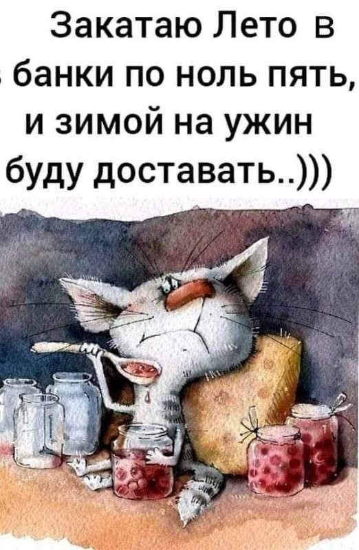 Солянка от 20.04.2025