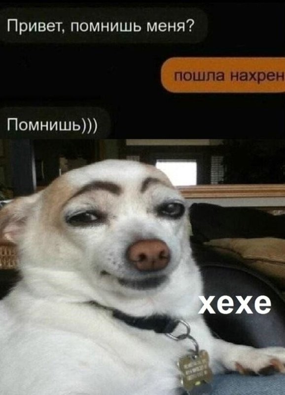 Не понял