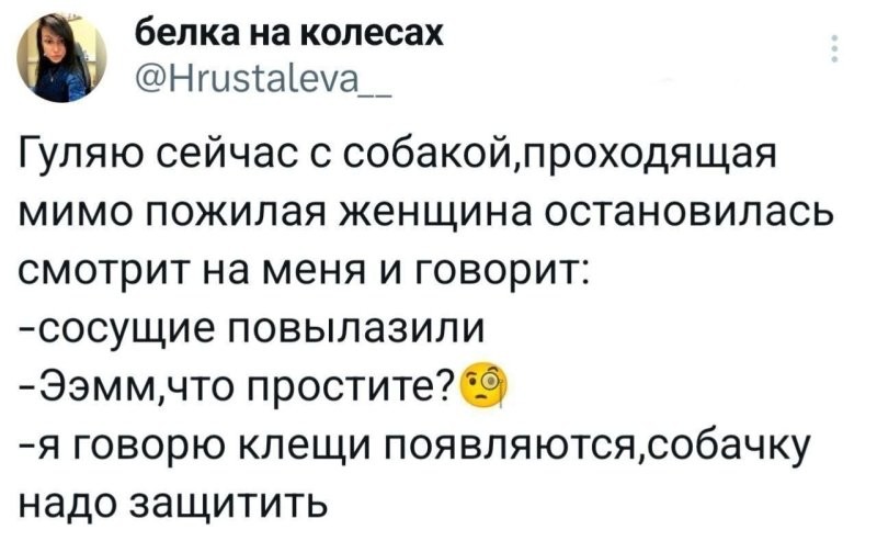 Солянка от 20.04.2025
