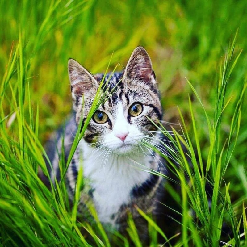 Солянка от 21.04.2025