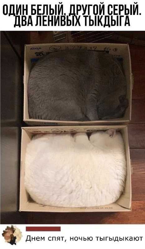 Солянка от 21.04.2025