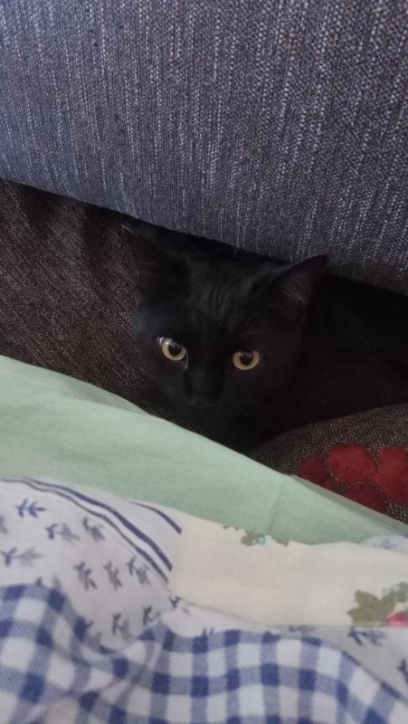 А что? Уже утро?!!!