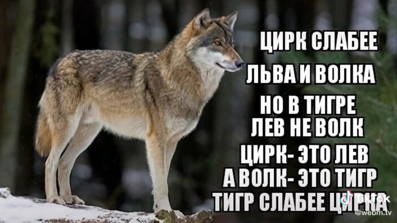 Зато...